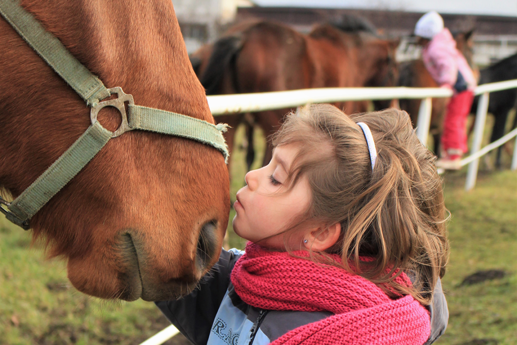 fjällstallet barn pussar häst